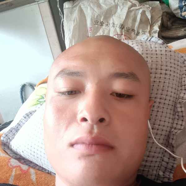 自贡征婚相亲网