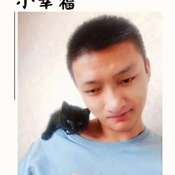 自贡征婚相亲网