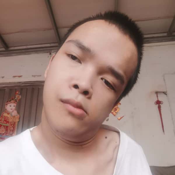 自贡征婚相亲网